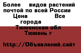 Более200 видов растений почтой по всей России › Цена ­ 100-500 - Все города  »    . Тюменская обл.,Тюмень г.